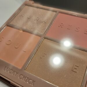 Blush Palette - Aura, Rise, Soul, Fate Shades